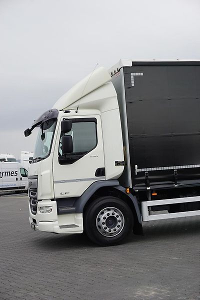 DAF LF (2019) 290 / E 6 / FIRANKA + WINDA /  - fotka 24 z 44