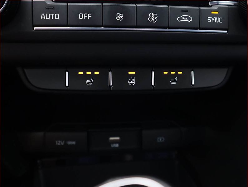 Kia Ceed (2020) 1.0 T-GDI, Tempomat - fotka 19 z 19