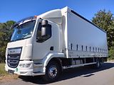 DAF LF (2019) 290-16t-18EP-Čelo-Lůžko - náhled 1