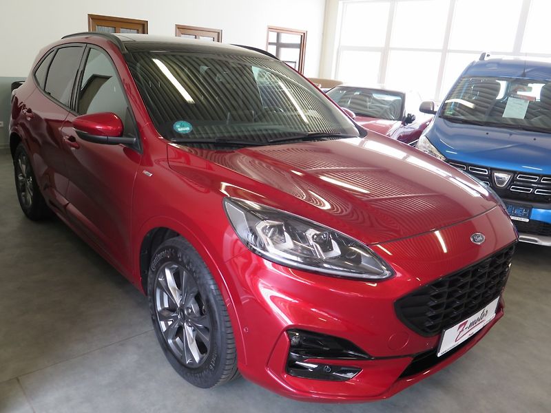 Ford Kuga (2021) 1.5TDCi,navi,360°,ST Line - fotka 5 z 50