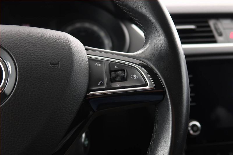 Škoda Octavia (2018) Style Plus 1.6 TDI, Tempomat - fotka 18 z 18