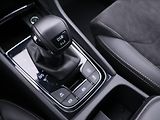 Škoda Kodiaq 2,0 TDI 147kW DSG Scout 4x4 CZ - náhled 31