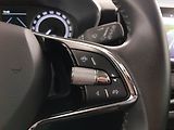 Škoda Fabia (2022) Style 1.0 TSI, ČR,1.maj - náhled 16