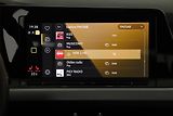 Volkswagen Golf (2022) Alltrack 2.0 TDI Alltrack - náhled 13
