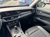 Alfa Romeo Stelvio (2018) 2.0 T 206 KW Q4 AT ZF8 SUPER - náhled 15