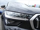 Škoda Kodiaq 2,0 TDI 142kW Excl. Selection - náhled 4