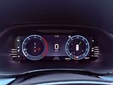 Škoda Octavia 2.0 TDi 110 kW Style DSG, Serv - náhled 22