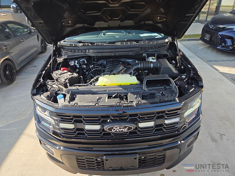 Ford F-150 (2025) F150 - LOBO STX  - fotka 11 z 13