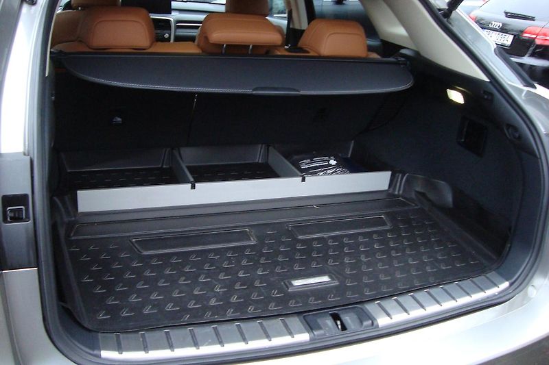 Lexus RX 450h (2021) ČR,1.Maj.S.kn.Najeto 62 tis.! - fotka 12 z 110
