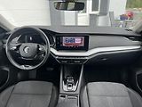 Škoda Octavia (2023) 2.0TDI DSG STYLE NOVÉ ČR - náhled 11