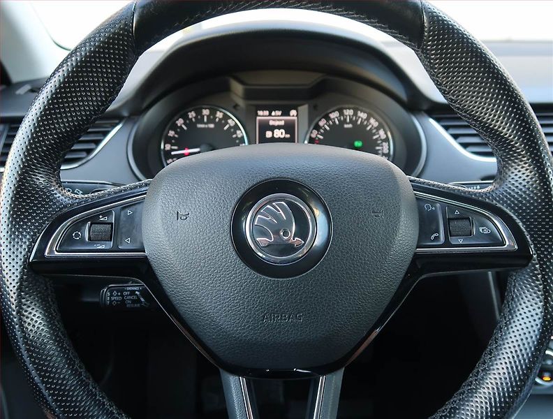 Škoda Octavia (2015) 2.0 TDI, 4X4, Automat - fotka 16 z 25