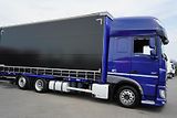 DAF XF (2022) XF / 480 / ACC / EURO 6 / ZEST - náhled 35