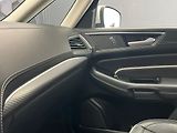 Ford S-MAX 2.0 140kW VIGNALE WEBASTO - náhled 29