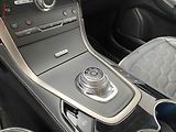 Ford S-MAX (2020) 2.0 EcoBlue, Vignale, AT - náhled 16