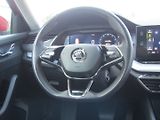 Škoda Octavia (2022) 2.0 TDI 110kW DSG SPORT Line - náhled 16
