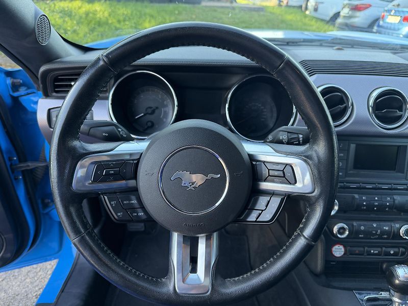 Ford Mustang 5.0 V8 - fotka 18 z 20