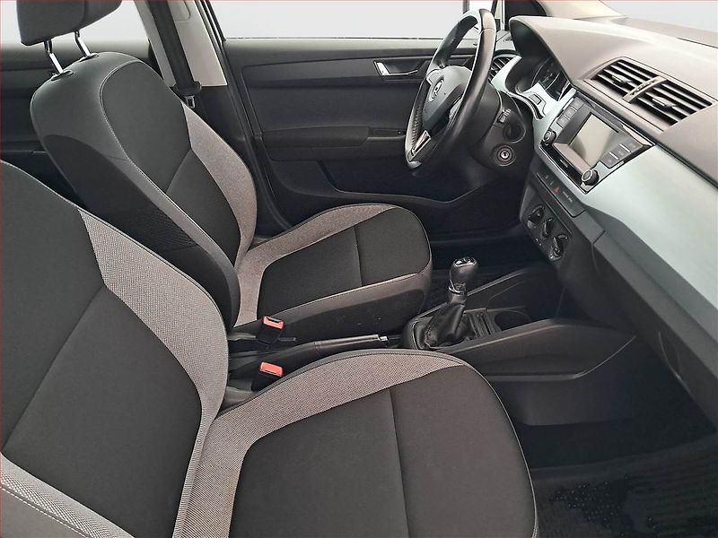 Škoda Fabia (2015) 1.4 TDI, ČR,1.maj - fotka 9 z 17