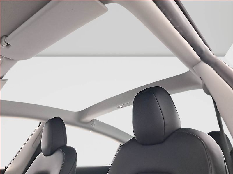 Tesla Model 3 (2020) Long Range 4WD 78kWh, SoH 87% - fotka 16 z 19