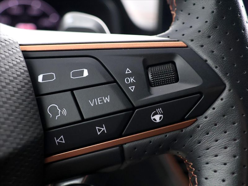 Cupra Formentor 2,0 TSI VZ 228kW DSG 4x4 DPH - fotka 25 z 42