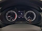 Škoda Octavia (2019) 1.5 TSI, Tempomat - náhled 10