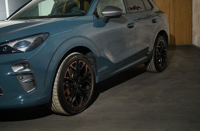 Cupra Terramar VZ 2.0TSI 195kW Web Taž ZÁRUKA - fotka 3 z 34