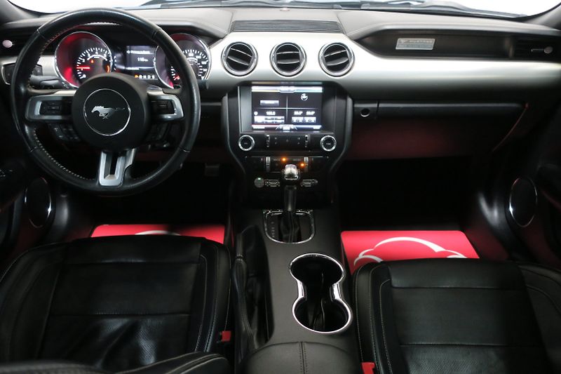 Ford Mustang (2015) 5.0 Ti-VCT V8 GT 50 automat - fotka 16 z 48