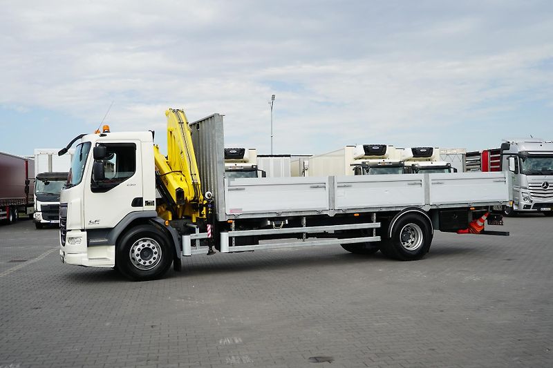 DAF LF (2015) / 250 / SKRZYNIOWY + HDS / HYV - fotka 34 z 52