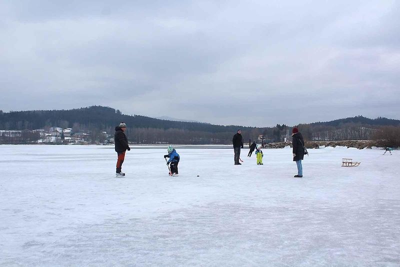 U Horní Plané se na zamrzlém Lipně vesele bruslí. Sem tam tudy ale na druhý břeh přejede i auto. Jen o pár set metrů dál přitom stále jezdí přívoz.