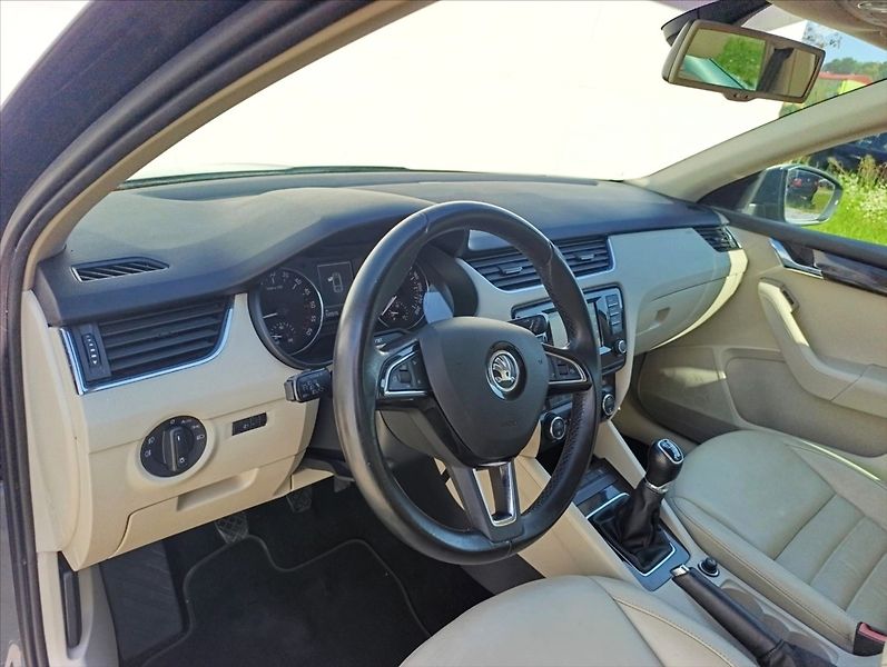 Škoda Octavia 1,6 TDi 4x4 Navi,Kůže,Aut.klim - fotka 13 z 36