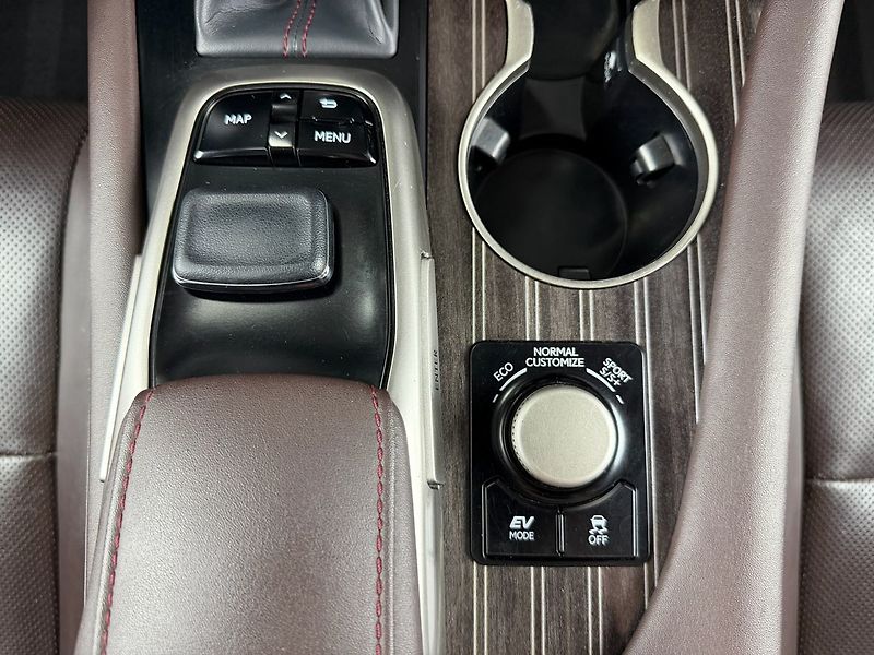 Lexus RX 450h h e-CVT AWD LUXURY, ACC, EL. Š - fotka 25 z 34