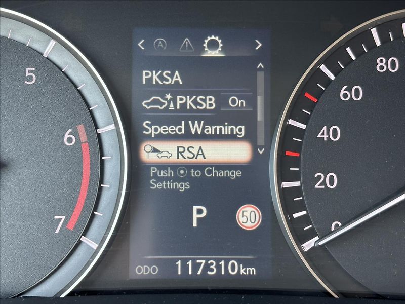 Lexus RX 2,0 i 175kW AT 4x4 Limited edi - fotka 46 z 47