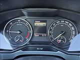 Škoda Superb 2,0 TDI 140kW ACC - náhled 28