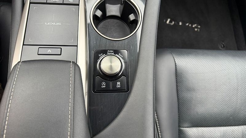 Lexus RX 300 300 2,0 TURBO LIMITED EDITION - fotka 20 z 28