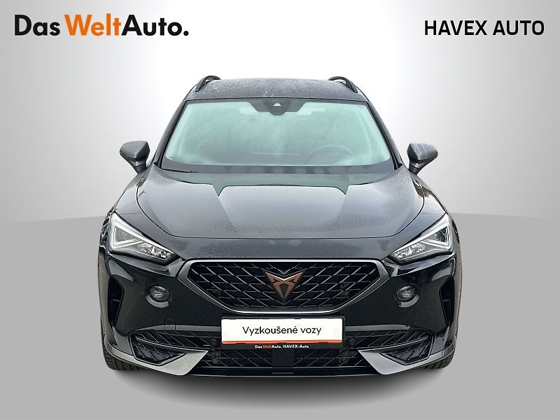 Cupra Formentor (2024) 2.0 TSI 4Drive DSG - fotka 4 z 35