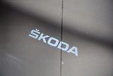 Škoda Karoq (2023) Sportline Exclusive 2,0 TSI 14 - náhled 29