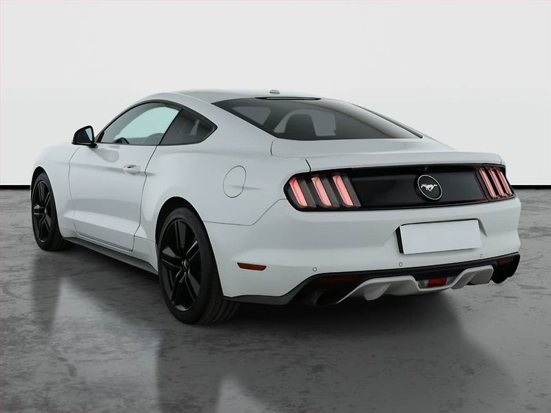 Ford Mustang (2017) 2.3 EcoBoost - fotka 4 z 19