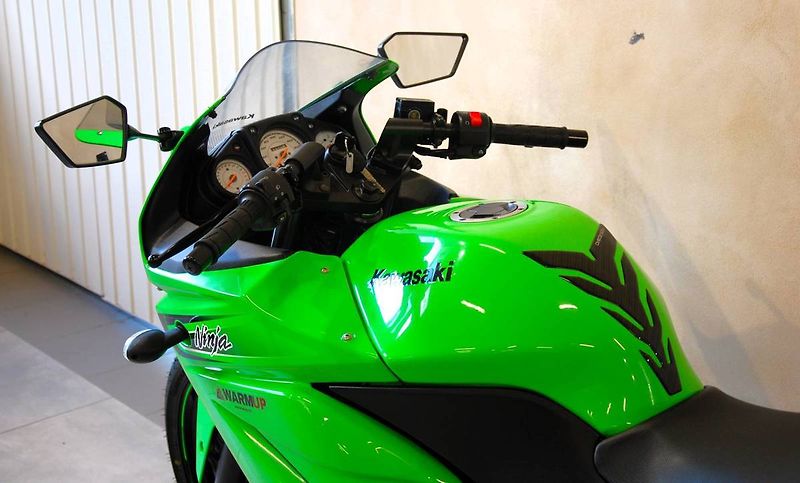 Kawasaki Ninja 250 R (2010) Ninja 250R - hezký stav, ŘP sk - fotka 19 z 20