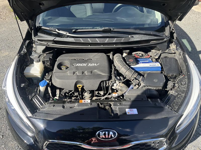Kia Ceed (2013) 1,4 CRDi 66 Kw TAŽNÉ !! - fotka 17 z 18