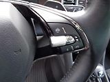 Škoda Kodiaq 2.0 TDI DSG 4x4 SCOUT - náhled 13