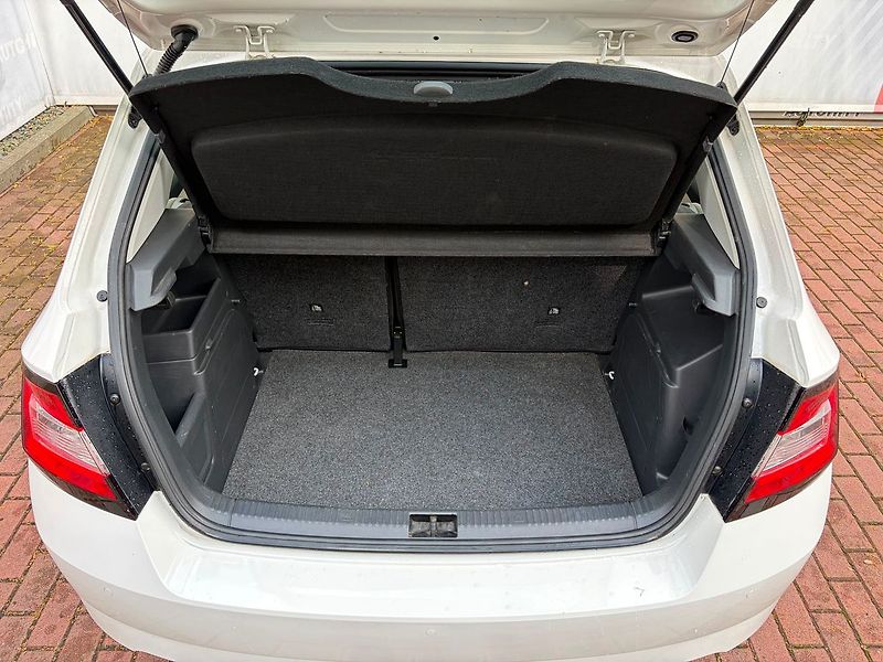 Škoda Fabia 1.2 TSi Style, ČR - fotka 10 z 20