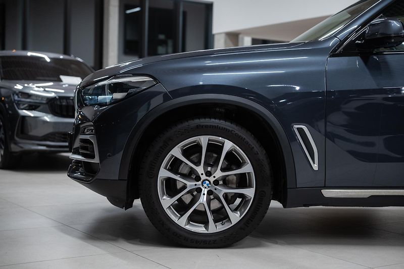 BMW X5 (2019) 30D 195 KW VZDUCH, PANO - fotka 4 z 46