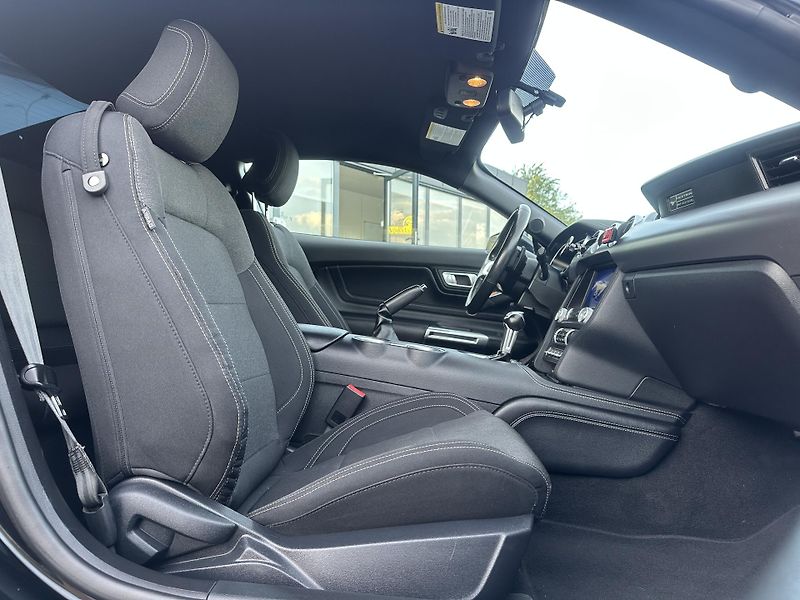 Ford Mustang (2020) Ford Mustang 2020 - fotka 14 z 15
