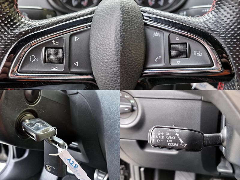 Škoda Octavia TDi RS,CEBIA *SERV.KNÍŽKA*  - fotka 42 z 48