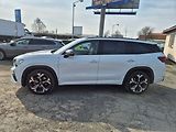 Škoda Kodiaq RS 2,0 TSI 195kW DSG 4x4, weba - náhled 8