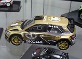 Jubilejní model WRC šampion z roku 2018.