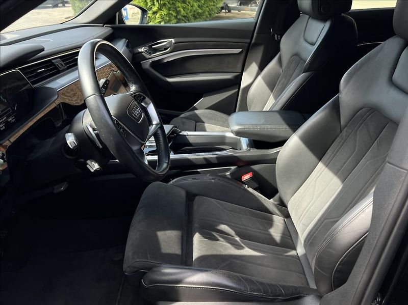 Audi e-tron 50 Quattro Proline Limited - fotka 10 z 38