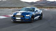 Shelby Super Snake 50th Anniversary.