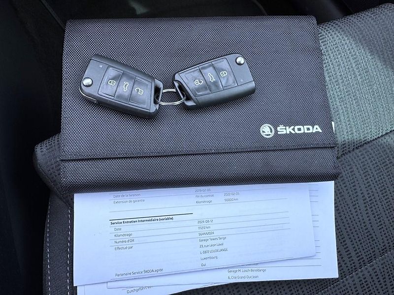 Škoda Superb 2.0 TDI 110 kW DSG, navigace - fotka 17 z 19