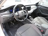 Škoda Octavia 2,0 TDI 85kW Ambition ČR - náhled 12
