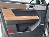 Hyundai Santa Fe 1.6*Hybrid*132kw*DPH*7Mist* - náhled 10